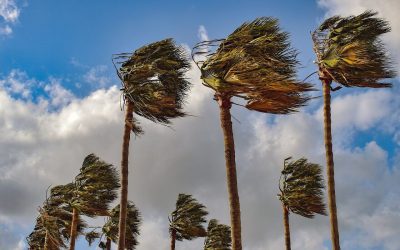 What is a Wind Mitigation Inspection?
