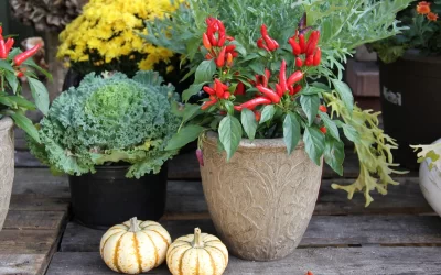 Update the Front Porch for Fall: 7 Tips to Create an Inviting Entryway