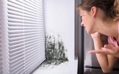 Signs of Mold Growth in the Home