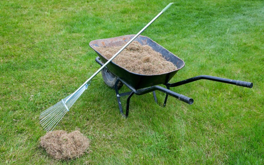 fall lawn maintenance